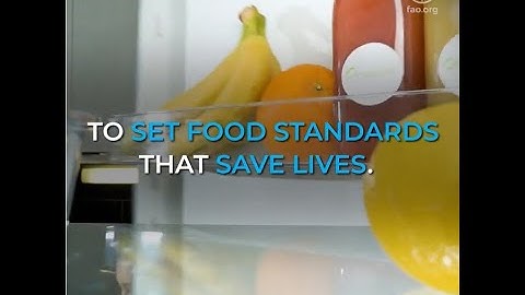 What are food standards and why do they matter?