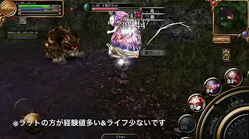 تحميل イザナギオンライン 未知の島