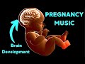 Music for Baby Inside The Womb, Music for Brain Development, Music for Pregnancy And Unborn Baby 161