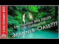 Die modulare Männer-Oase - Lasst sie uns erschaffen!