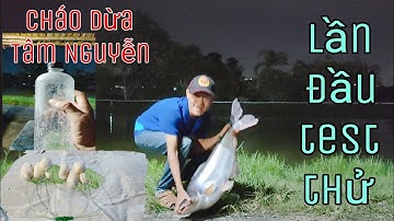 lần đầu test mồi cháo dừa tâm nguyễn cá vẫn lên/ hồ câu giải trí út phương@CuongFising