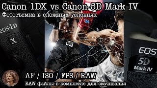 Тест: Canon 5D Mark IV vs Canon 1DX (ISO, AF, RAW)