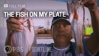 The Fish on My Plate (full documentary) | FRONTLINE