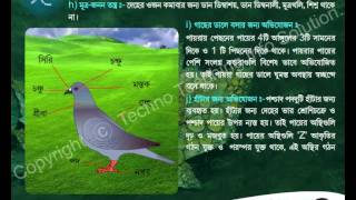 LIFE SCIENCE_WB BENGALI VERSION_X.avi