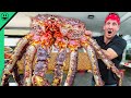 Singapore's RECORD BREAKING Chili Crab!! Massive Seafood of Asia!!