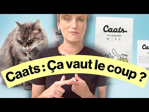 J'ai essayé la nourriture pour chats Caats : Devriez-vous en faire autant ?