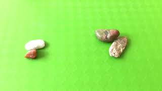 Capricorn June 2026 Monthly Gemstone Reading by Cognitive Universe 