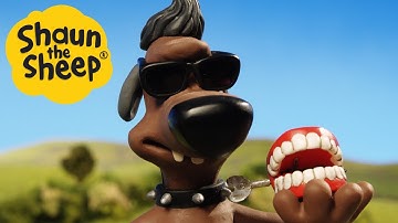 Shaun the Sheep 🐑 Bitzer