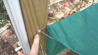 I saved 50% on shade cloth! Cover your vegetable plants with shade cloth and save 50% on shade cloth at the same time. Keeping 