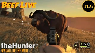 theHunter Call of the wild Back to Africa