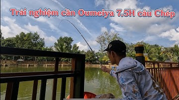 Pha mồi câu cá Chép và test cần Oumeiya 7.5H | Dat Anh Fishing