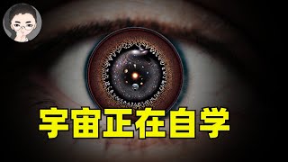 兩篇大開腦洞的論文：宇宙不僅是個大腦，它還在自我學習，不斷進化 | 回到Axton