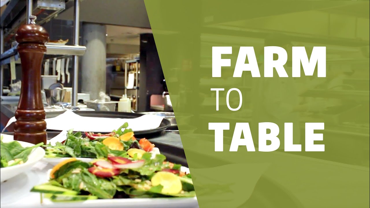 UW HFS Farm to Table YouTube
