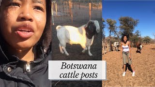 My first weekend at the cattle post| Botswana