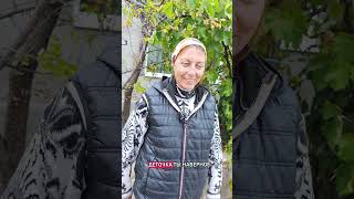 Детская лошадка. #конныйблог #лошадимояжизнь #историиизжизни #конники