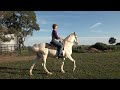 Countryside of Indiana. Kim's Inspiring story. Horses Healing Humans