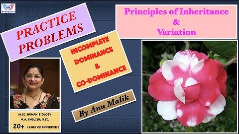 GENETICS LEC 6 | PUNNETT SQUARES & PROBABILITY | PROBLEMS & SOLUTIONS | NEET 2022-2023 | ANU MALIK