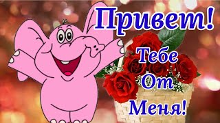 Тебе Привет От Меня! Улыбнись! Музыкальная Открытка Для Тебя! screenshot 5