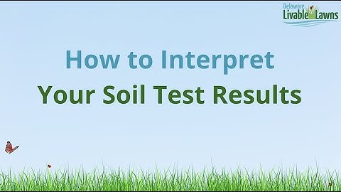How to Interpret Soil Test Results