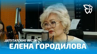 Елена Городилова / Депутатские вести / 16.05.24