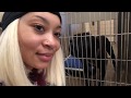 Animal Shelter VLog part 1 🐶🐱🐴