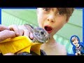 Animals and Dump Trucks - Rescuing Injured Baby Bunny Rabbit