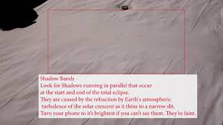 Celebrity Shadow Bands during the 2024 Solar Eclipse Net Worth