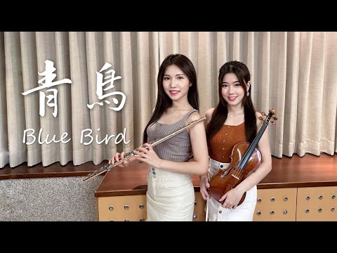 火影忍者《 青鳥 Blue Bird 》小提琴＆長笛版本｜cover by 長笛琴人