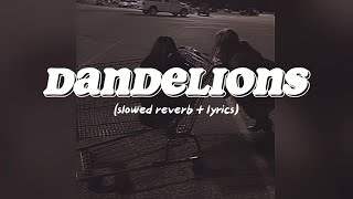 [1 HOUR]  Dandelions Lyrics (sped up reverb +lyrics)