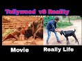 Tollywood vs reality  movie vs real life  berhampuria faltu tv  comedy  new comedy