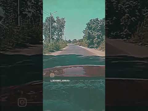 حالة واتس السيد حسن انا الأسد في مجالي