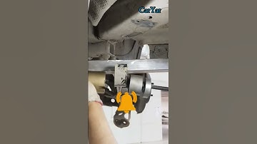 Suspension Bush. #ytshorts #shortsfeed #shorts #short #shortvideo #viral #trending #youtubeshorts