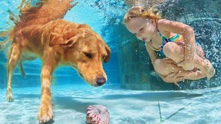 Dog Swimming Funny Videos 2021 by Cute animal things 199 views 2 years ago 3 minutes, 17 seconds