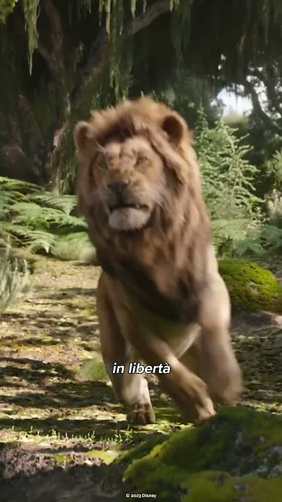 Il Re Leone  Trailer Ufficiale 