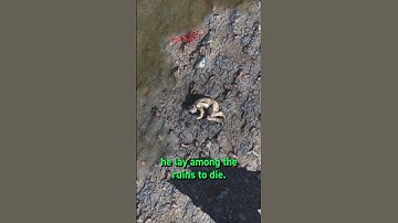 The SADDEST Side Quest in Fallout 4