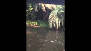 Jungle Cruise Tokyo Disneyland