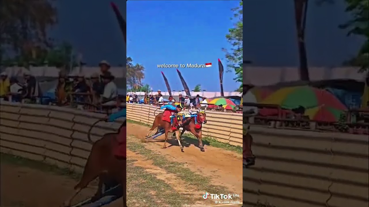 welcome to madura island🇮🇩