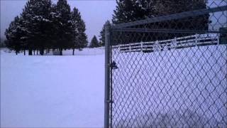Sledding Christmas 2012