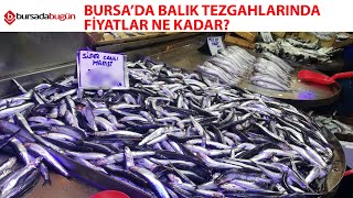 Bursa'da balık tezgâhlarında fiyatlar ne kadar?