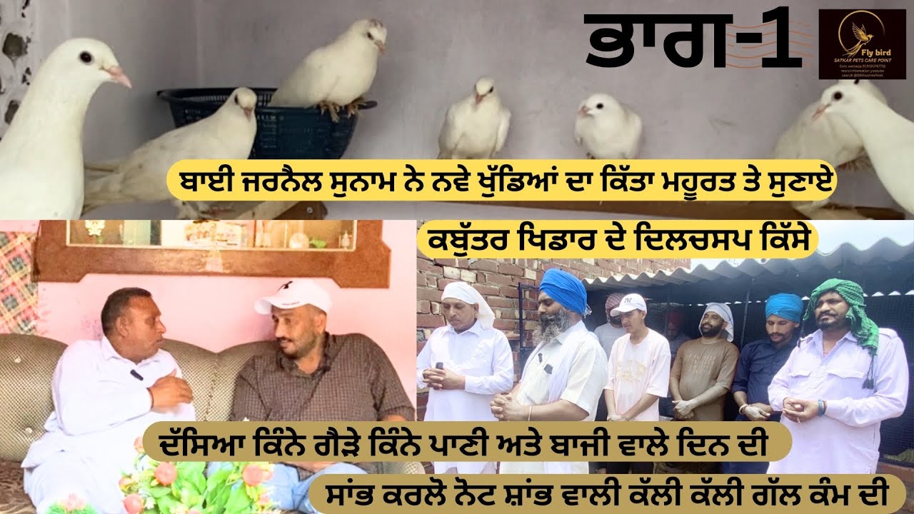 ਬਾਈ ਜਰਨੈਲ ਸੁਨਾਮ ਨੇ ਦੱਸੀ ਠੰਡੇ ਪਾਣੀ ਤੇ ਕਬੁੱਤਰ ਉਡਾਉਣ ਦੀ ਸੰਭਾਲ  jarnail sunam interview part-1