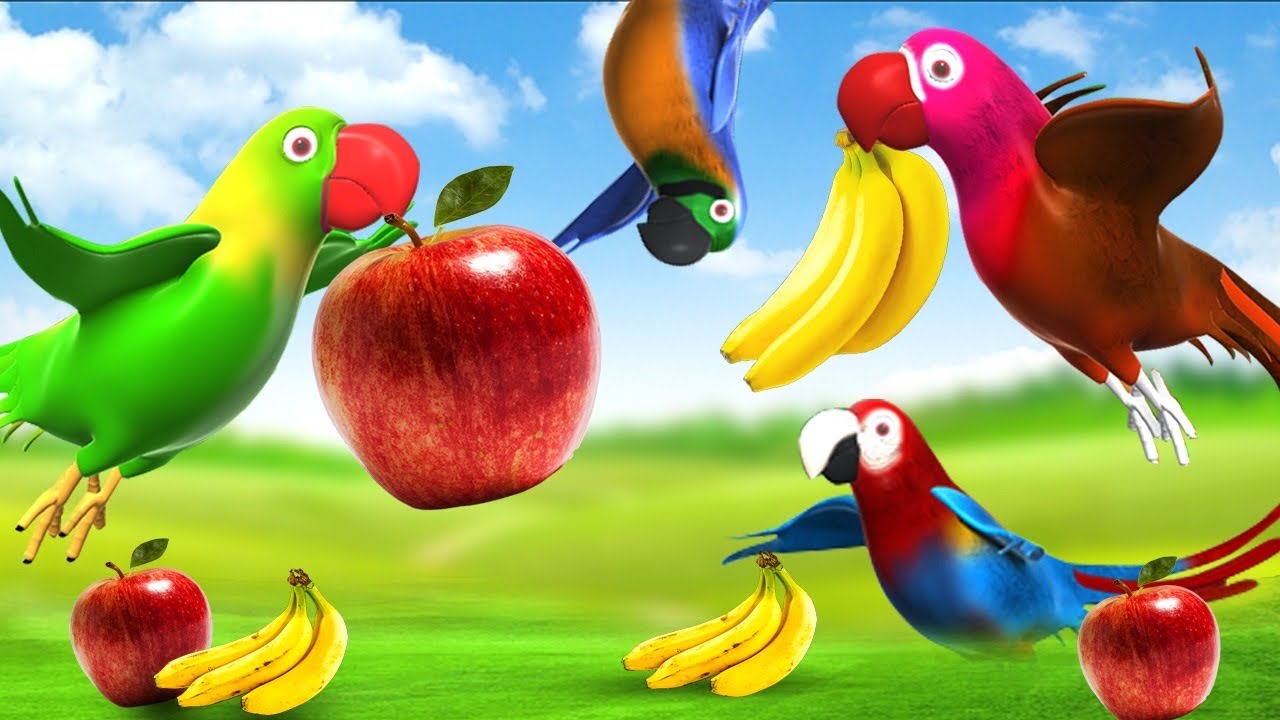 Hungry Parrots Pick Fruits in Garden | Funny Parrot Talking | Cute Parrot  Animated Video Compilation - YouTube