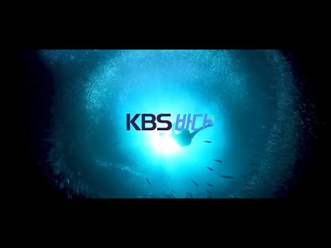 &amp;quot; - 공공 스톡 콘텐츠 서비스 &amp;#39;KBS <strong>바다</strong>&amp;#39; <strong>무료</strong> 개방