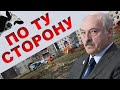 Чего боится Лукашенко / Последняя стадия / Народные новости