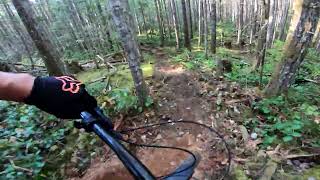 New Trail at Radar