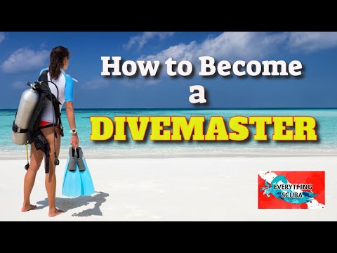 How to become a Divemaster! (A conversation with a PADI Course Director.)