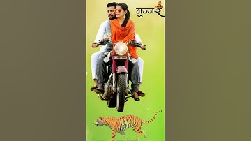 NEW GUJJAR STATUS | गुर्जर स्टेटस   | GUJJAR NEW SONG | Gurjar Status | Gujjar Chale Sher Ki Chal