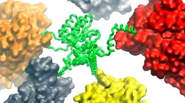 Conformational dynamics