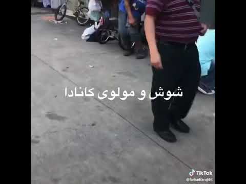 شوش و مولوی کانادا