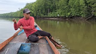 BARU KALI INI..!! BERTEMU DENGAN KAWANAN IKAN BESAR YANG SEDANG LAPAR..!! SAMBARANNYA BERTUBI TUBI