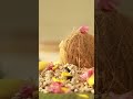 vidyaarambam song by jalin triprayar